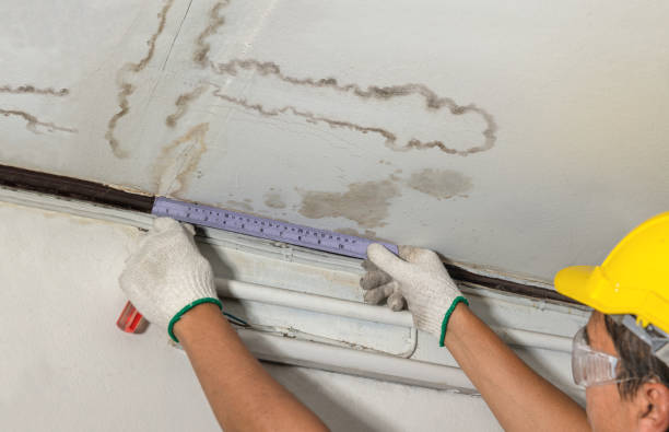 Reliable Water Damage contractor in Spencer, WV by Water Damage Irwin